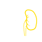 kidney cancer